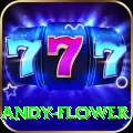 andy flower Ultimate Pro v5.0.5