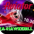 antigua hawksbill Premium Plus v2.9.7