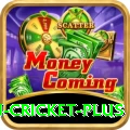 australian cricket Mega Casino App