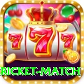 bangladesh cricket match Pro Edition v3.1.6