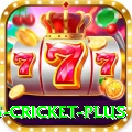 bet365 cricket Legend New