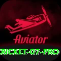 cricket 07 - Master v4.5.4