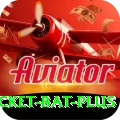cricket bat Jackpot Premium v4.9.5