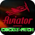 cricket pitch Ultimate Pro v3.8.0