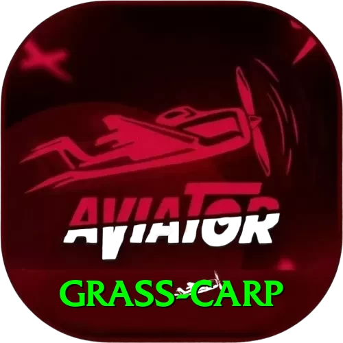 grass carp Plus Edition v4.1.6 - 2