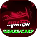grass carp Plus Edition v4.1.6