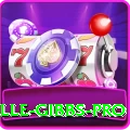 herschelle gibbs Casino Official v1.0.6