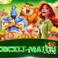 india cricket match Games (Casino & Earning) Max v3.5.0