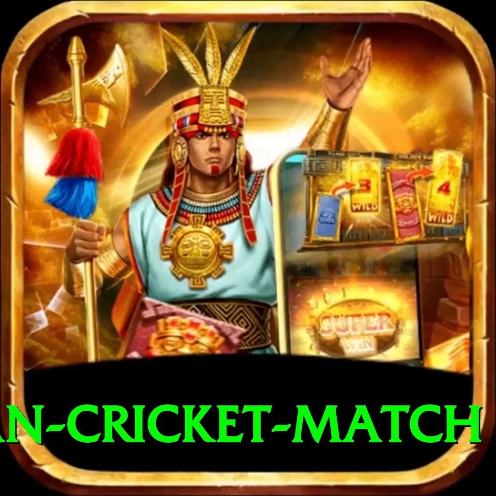 india pakistan cricket match Pro Edition v4.1.4 - 2