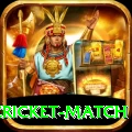 india pakistan cricket match Pro Edition v4.1.4