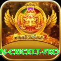 india pakistan cricket Bonus Prime v2.5.7