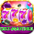 india upcoming cricket matches Premium v1.4.8