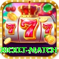 international cricket match Turbo Pro v2.0.7