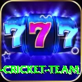 ireland cricket team Pro v2.6.5