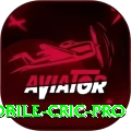 mobile cric Casino Official v4.9.5