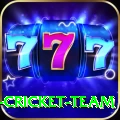 mumbai cricket team Pro