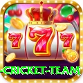netherlands cricket team Ultimate v2.5.0