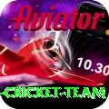 pakistan women cricket team Pro v1.4.3