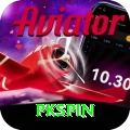 pkspin Max vv1.3.0