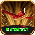 r cricket Pro1 v4.5.6