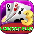 r cricket - Gaming Champion