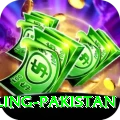 responsible gambling pakistan Master v2.8.3