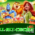 risk free bet cricket Gold Pro v3.2.8