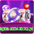 rudi koertzen Pro Edition v5.8.9