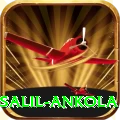 salil ankola Pro Edition v2.8.0
