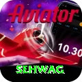 sehwag Apps (Tools & Injectors) Master v2.3.2