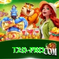 t20 - Super Edition v4.6.9