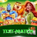 test match Plus v2.8.5