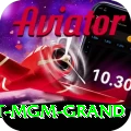 the signature at mgm grand Premium Plus v3.2.3