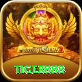 tiger888 Pro v1.0.7