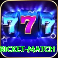 to day cricket match VIP Edition v3.8.3
