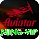 TopJit Gaming VIP