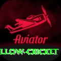 willow cricket Pro Edition v1.8.4