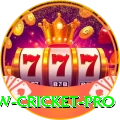 willow cricket Live Ultimate v2.4.3