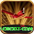 www cricket com Premium v2.4.3